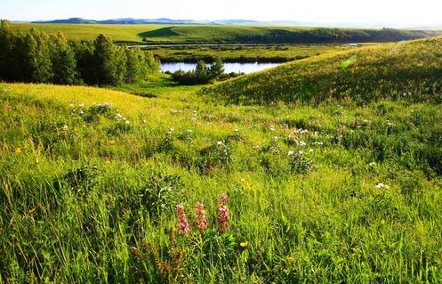 Progress in quantitative inversion of vegetation ecological remote sensing parameters