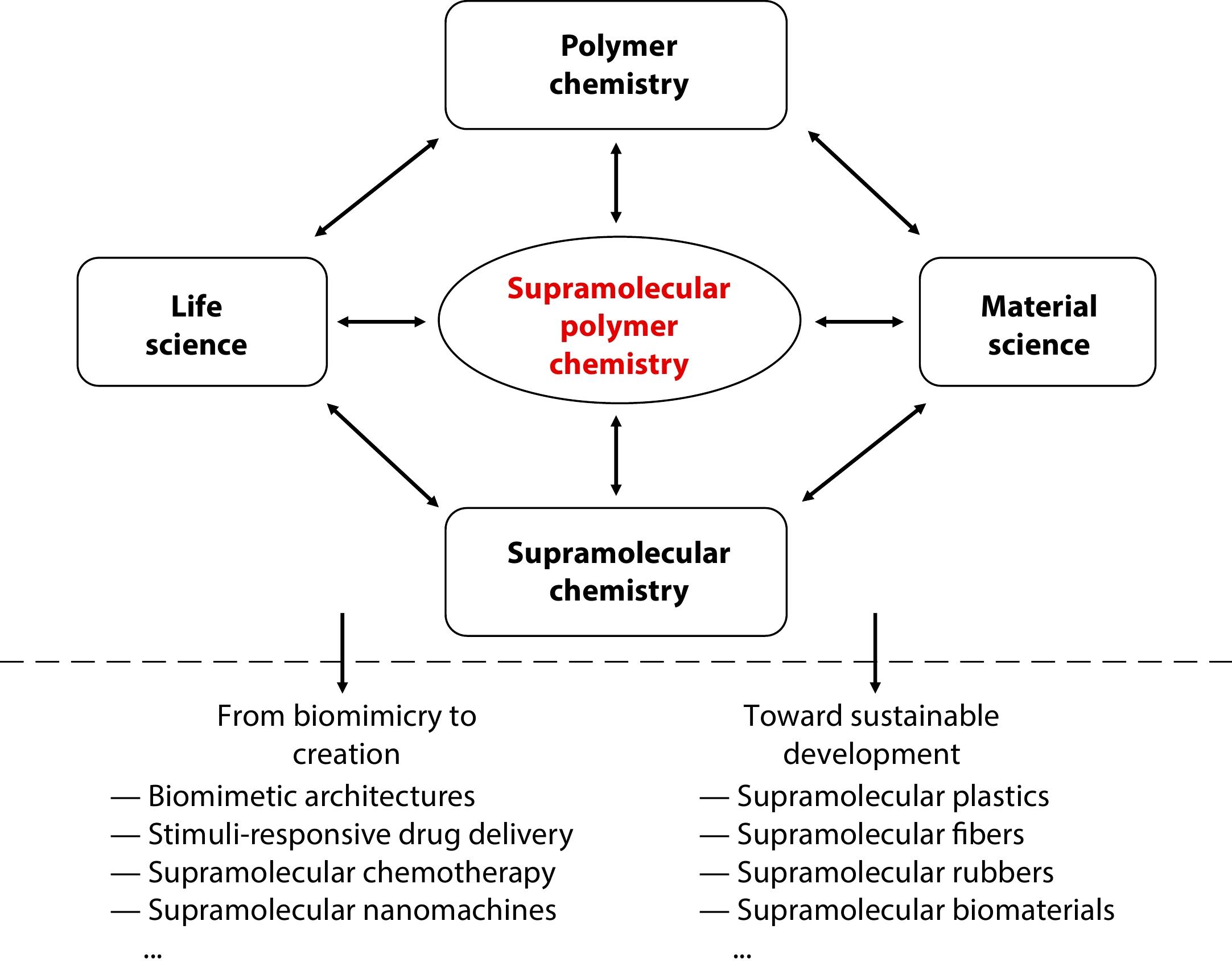 Supramolecular Polymer Chemistry: Past, Present, and Future