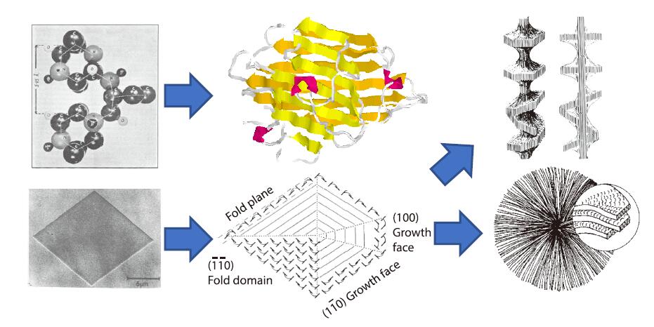 Polymer Features in Crystallization