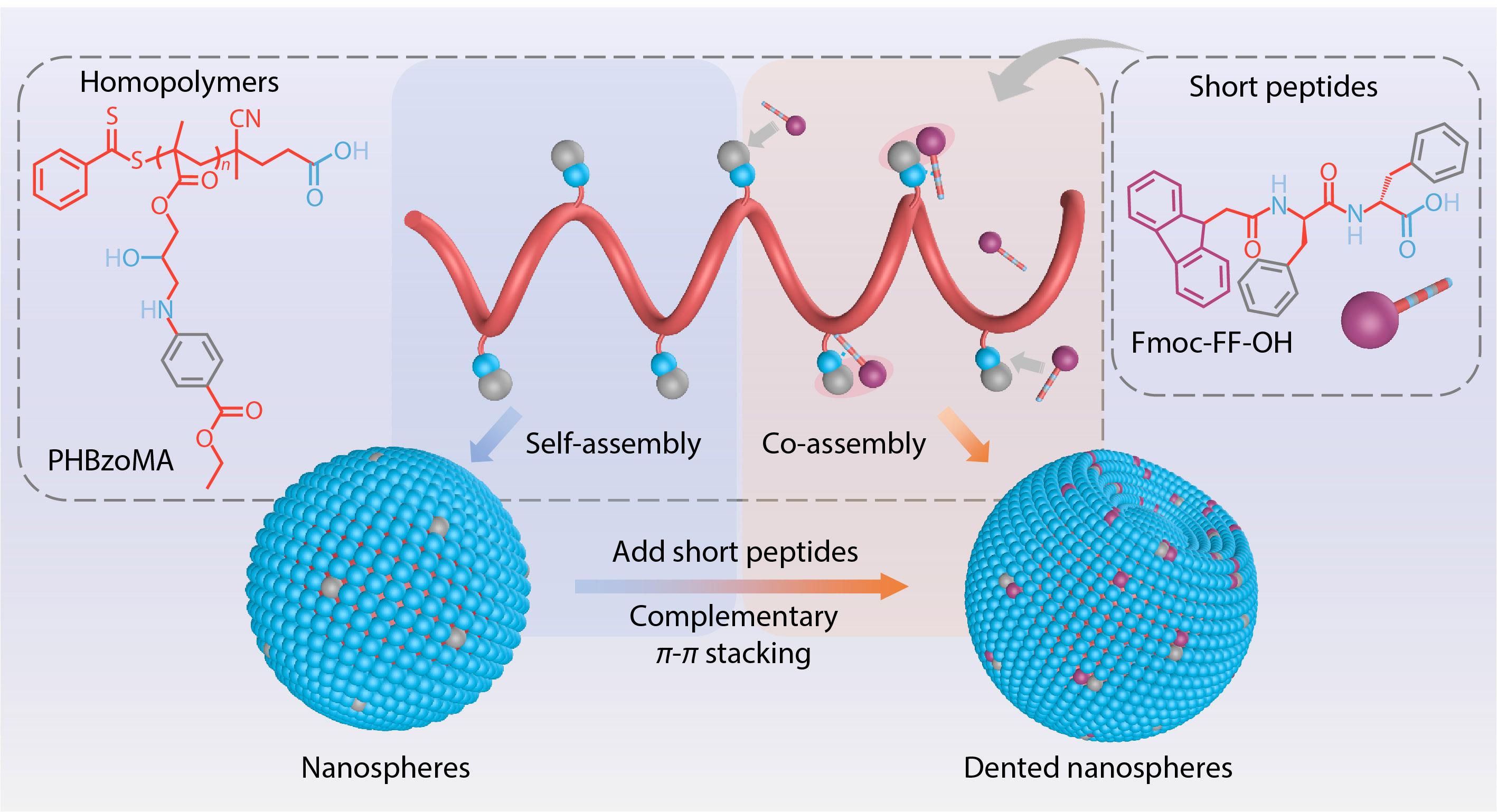 Denting Nanospheres with a Short Peptide