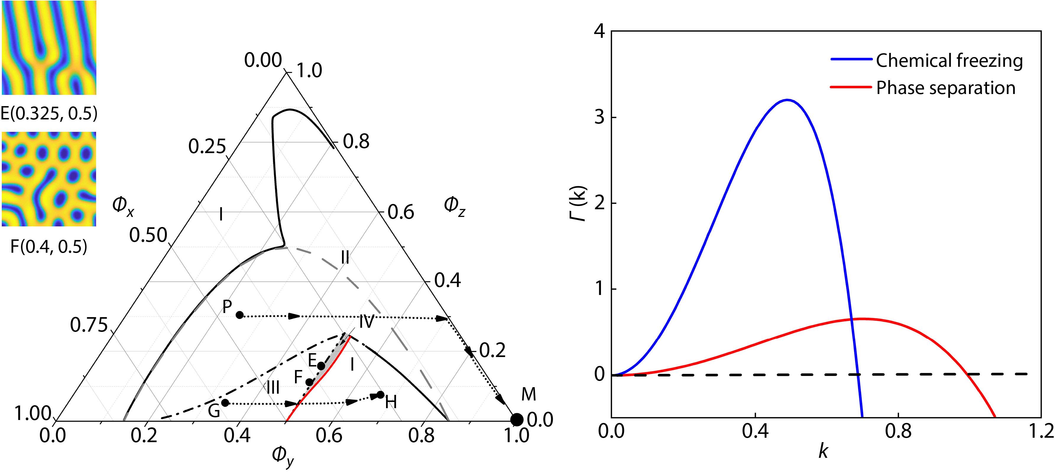 Kinetic Pattern Formation with Intermolecular Interactions: A Modified Brusselator Model