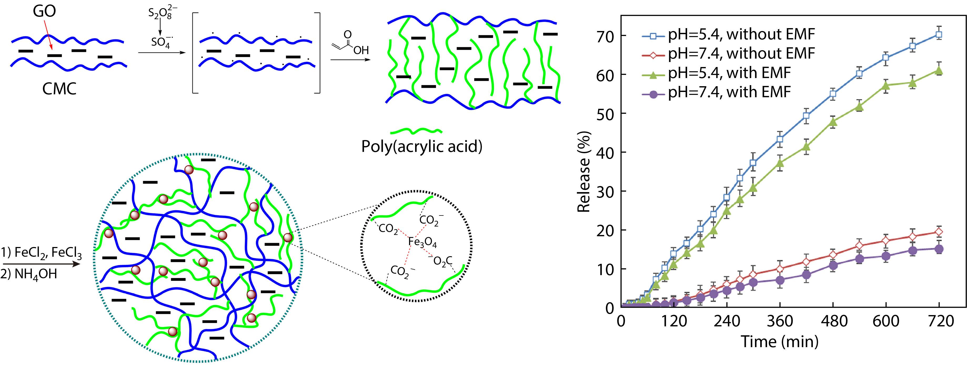 Characterization of a Multi-responsive Magnetic Graphene Oxide Nanocomposite Hydrogel and Its Application for DOX Delivery