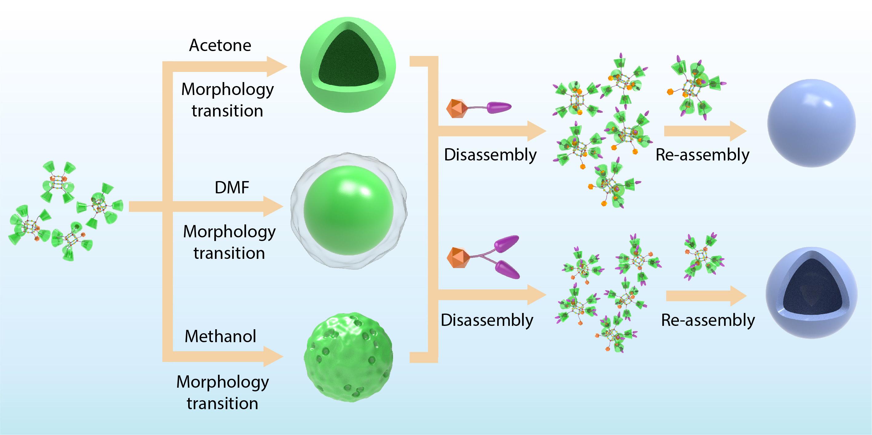 Tunable Multiple Morphological Transformation of Supramolecular Hyperbranched Polymers Based on an A<sub>2</sub>B<sub>6</sub>-type POSS Monomer