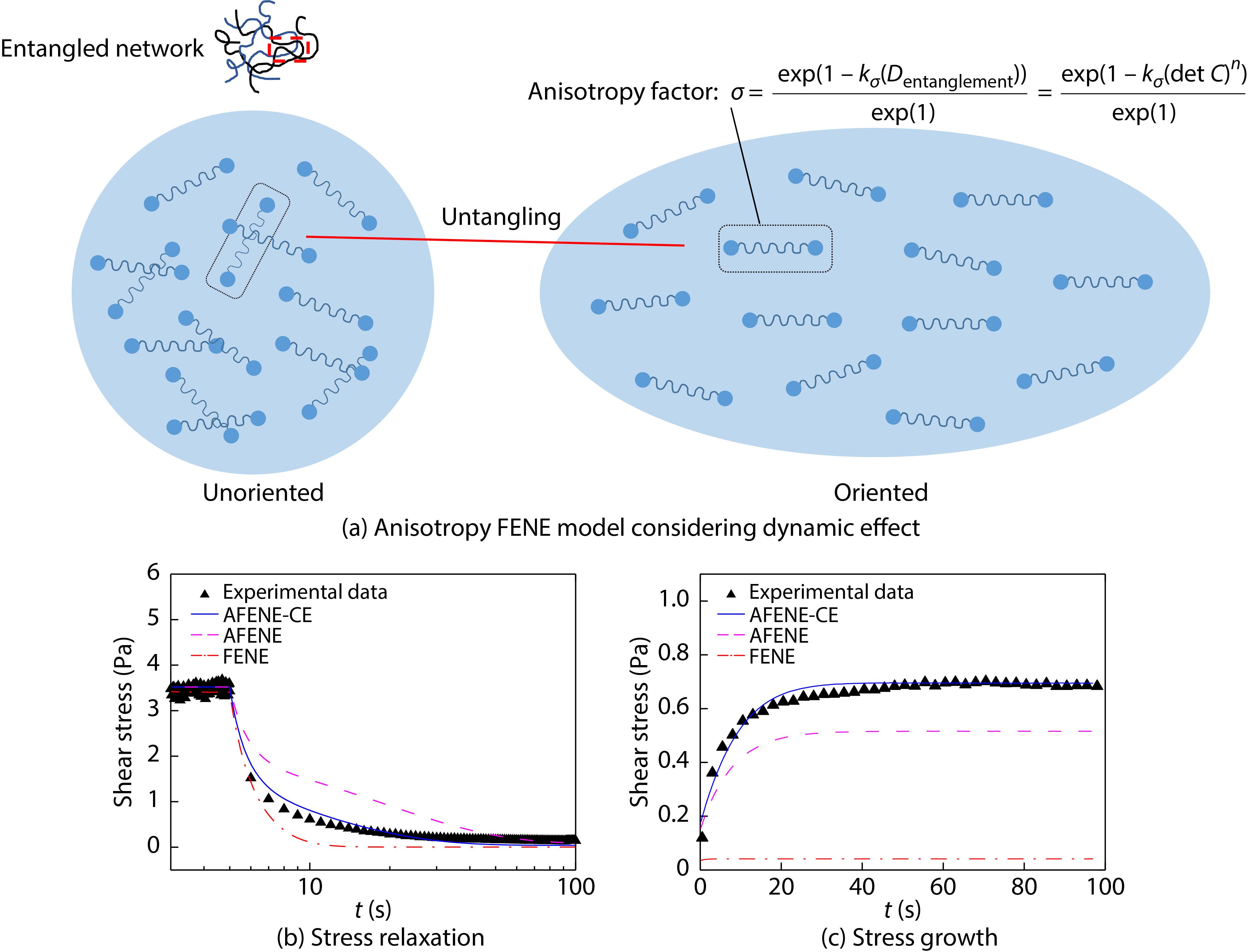 A Constitutive Model Describing Molecular Configuration Evolution and Transient Rheological Behavior of Entangled Polymer Solutions