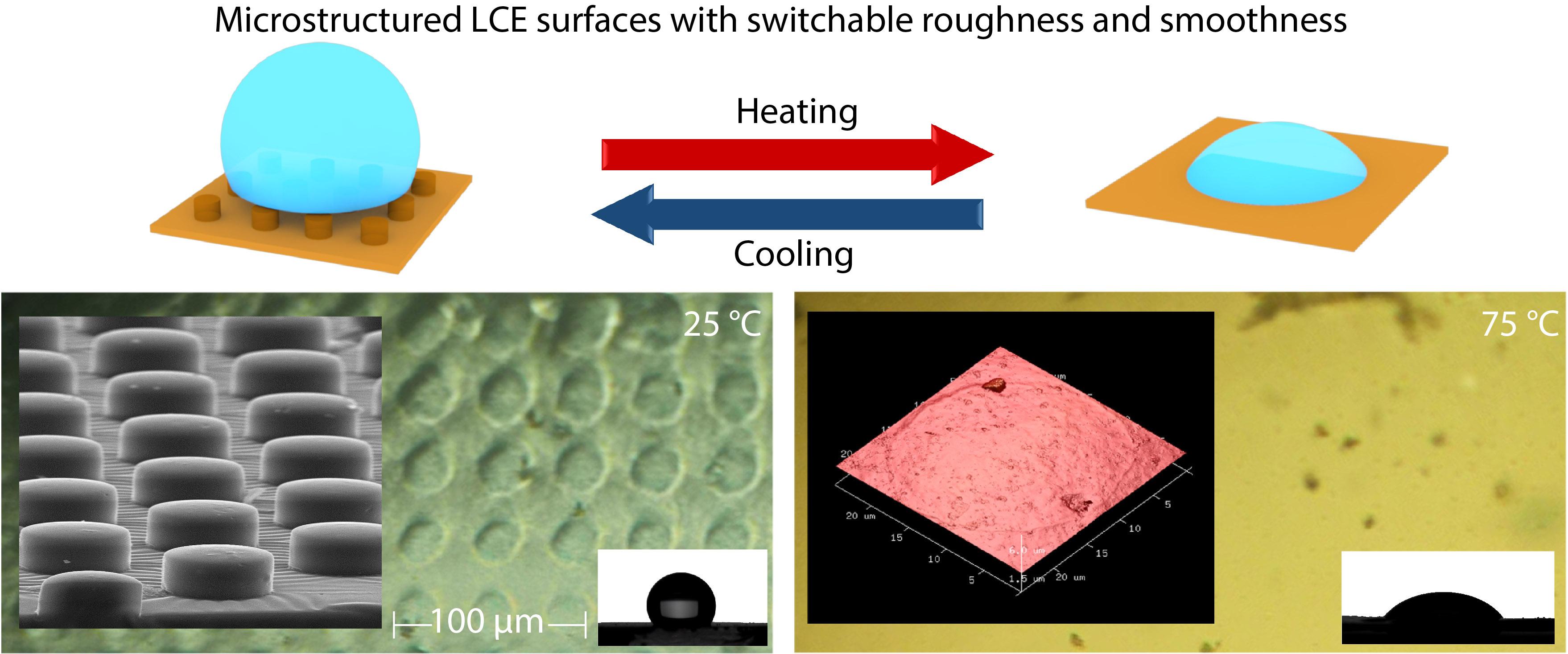 Intelligent Surfaces Thermally Switchable between the Highly Rough and Entirely Smooth States
