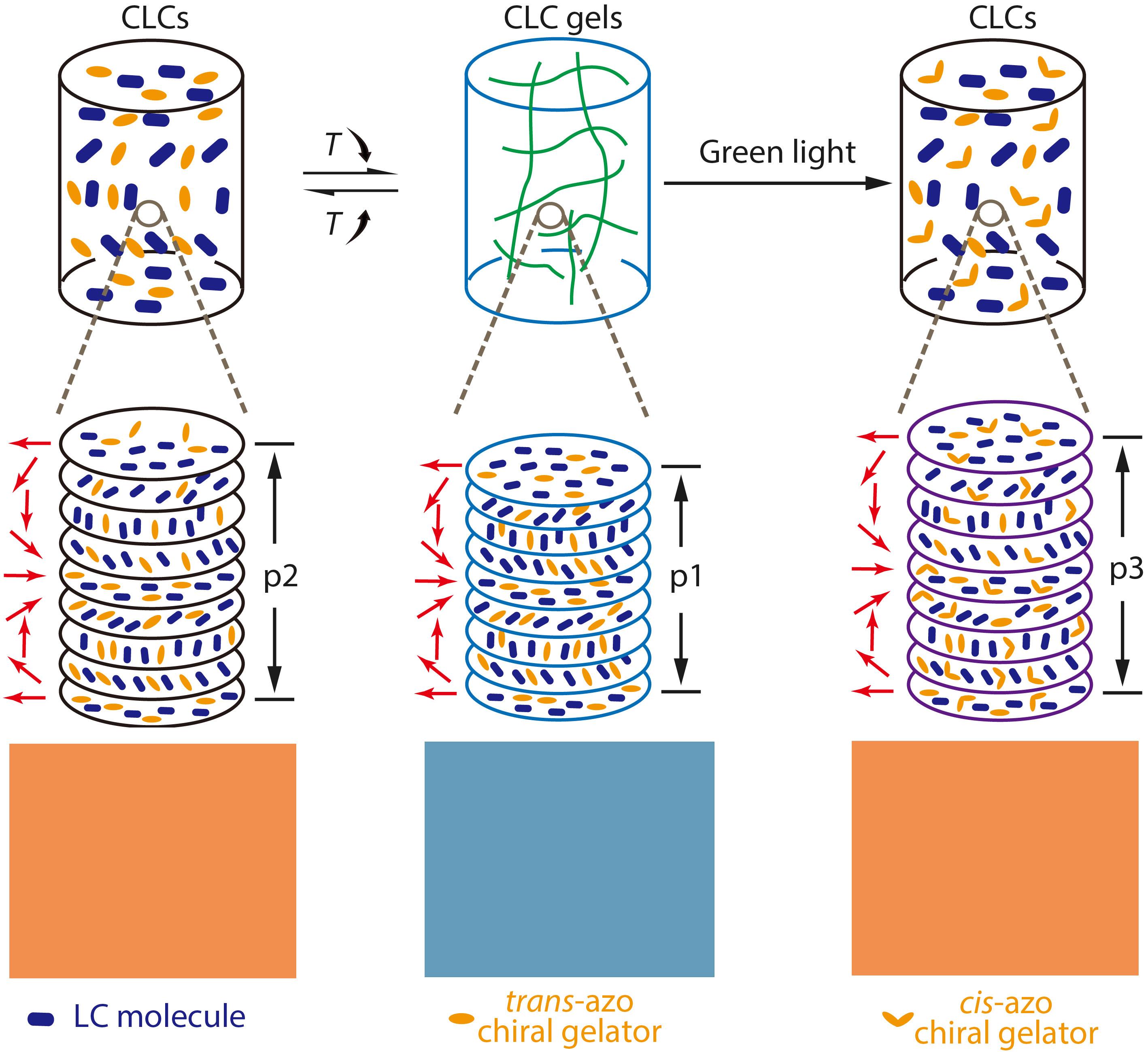 Visible Light and Temperature Regulated Reflection Colors in Self-supporting Cholesteric Liquid Crystal Physical Gels