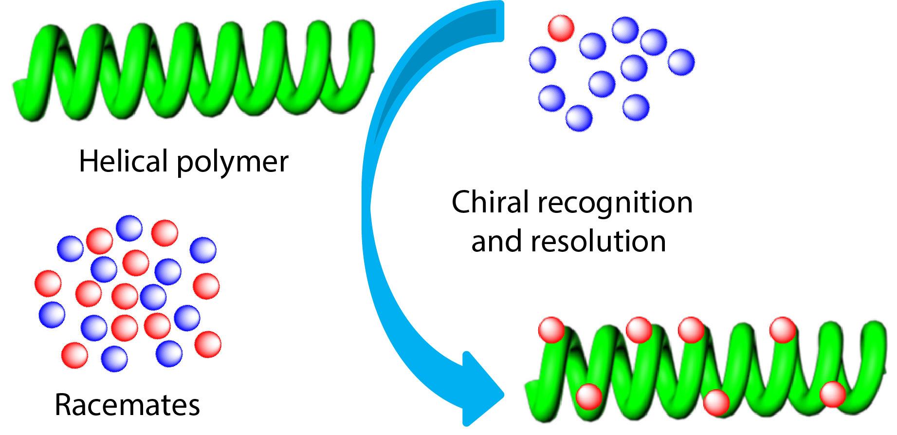 Chiral Recognition and Resolution Based on Helical Polymers