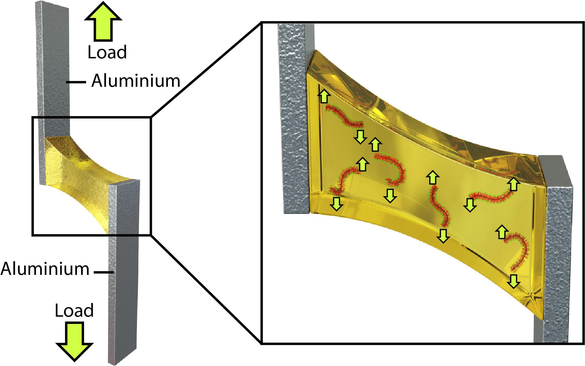 Reactive Core-Shell Bottlebrush Copolymer as Highly Effective Additive for Epoxy Toughening