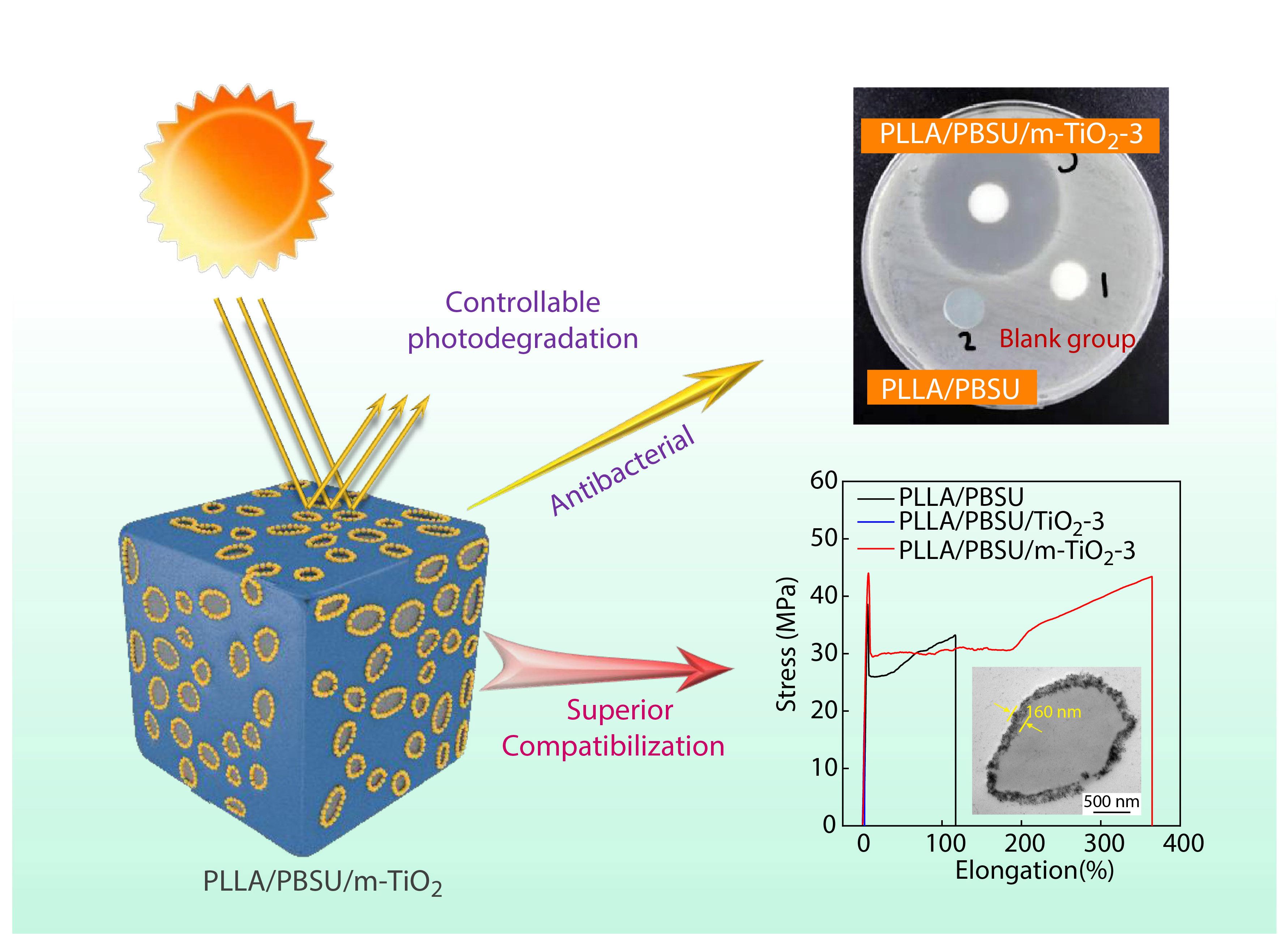 Reactive TiO<sub>2</sub> Nanoparticles Compatibilized PLLA/PBSU Blends: Fully Biodegradable Polymer Composites with Improved Physical, Antibacterial and Degradable Properties
