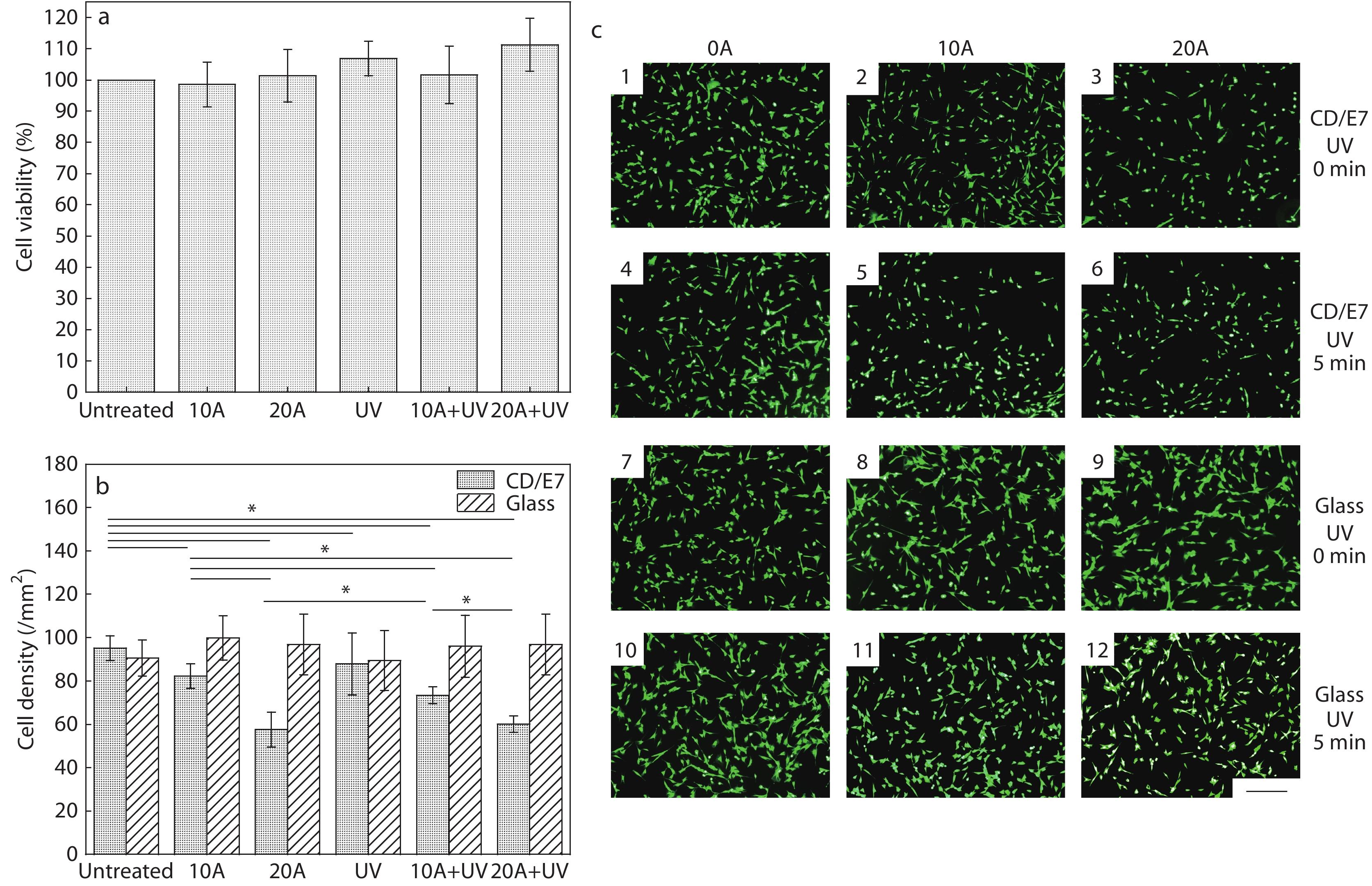Correction to “Mediating the Migration of Mesenchymal Stem Cells by Dynamically Changing the Density of Cell-selective Peptides Immobilized on <italic style="font-style: italic">β</italic>-Cyclodextrin-modified Cell-resisting Polymer Brushes”