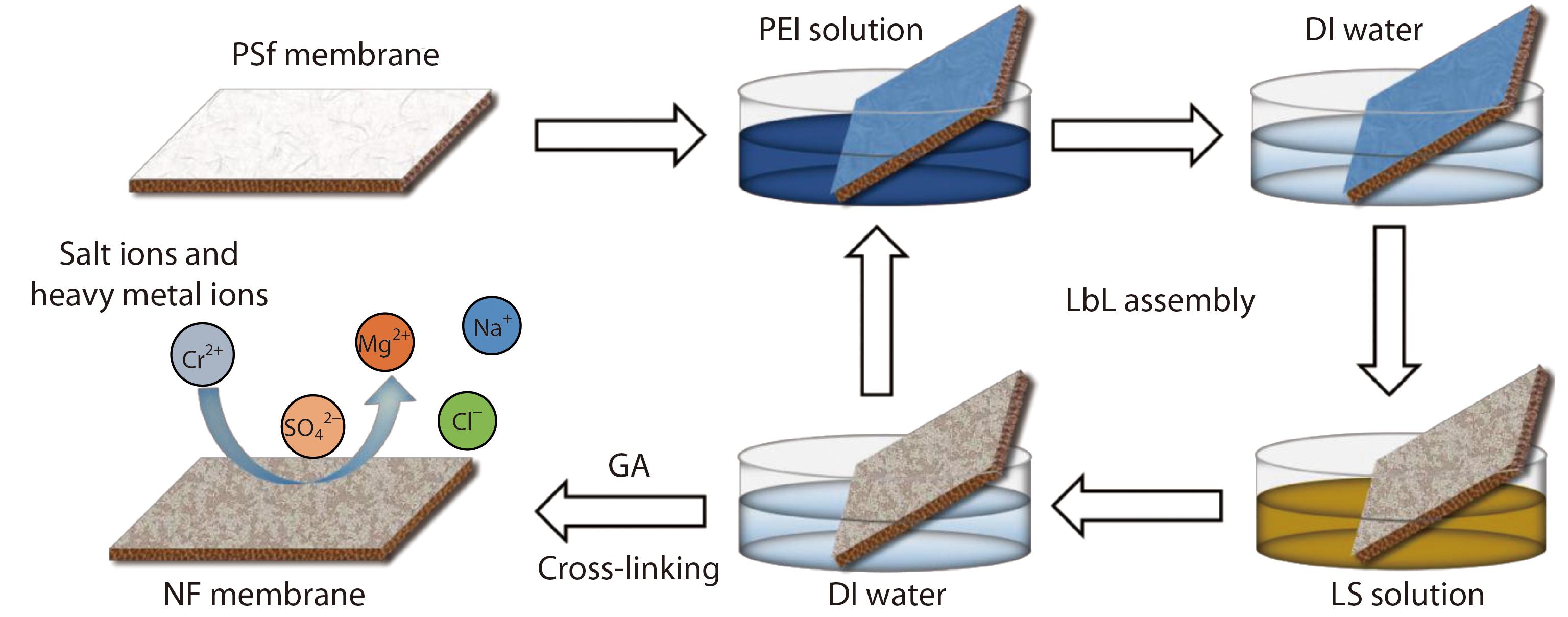 Nanofiltration Membranes <italic style="font-style: italic">via</italic> Layer-by-layer Assembly and Cross-linking of Polyethyleneimine/Sodium Lignosulfonate for Heavy Metal Removal
