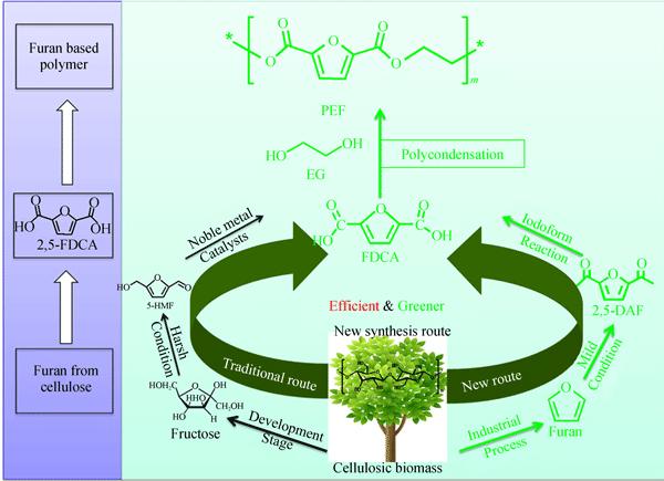 From Furan to High Quality Bio-based Poly(ethylene furandicarboxylate)