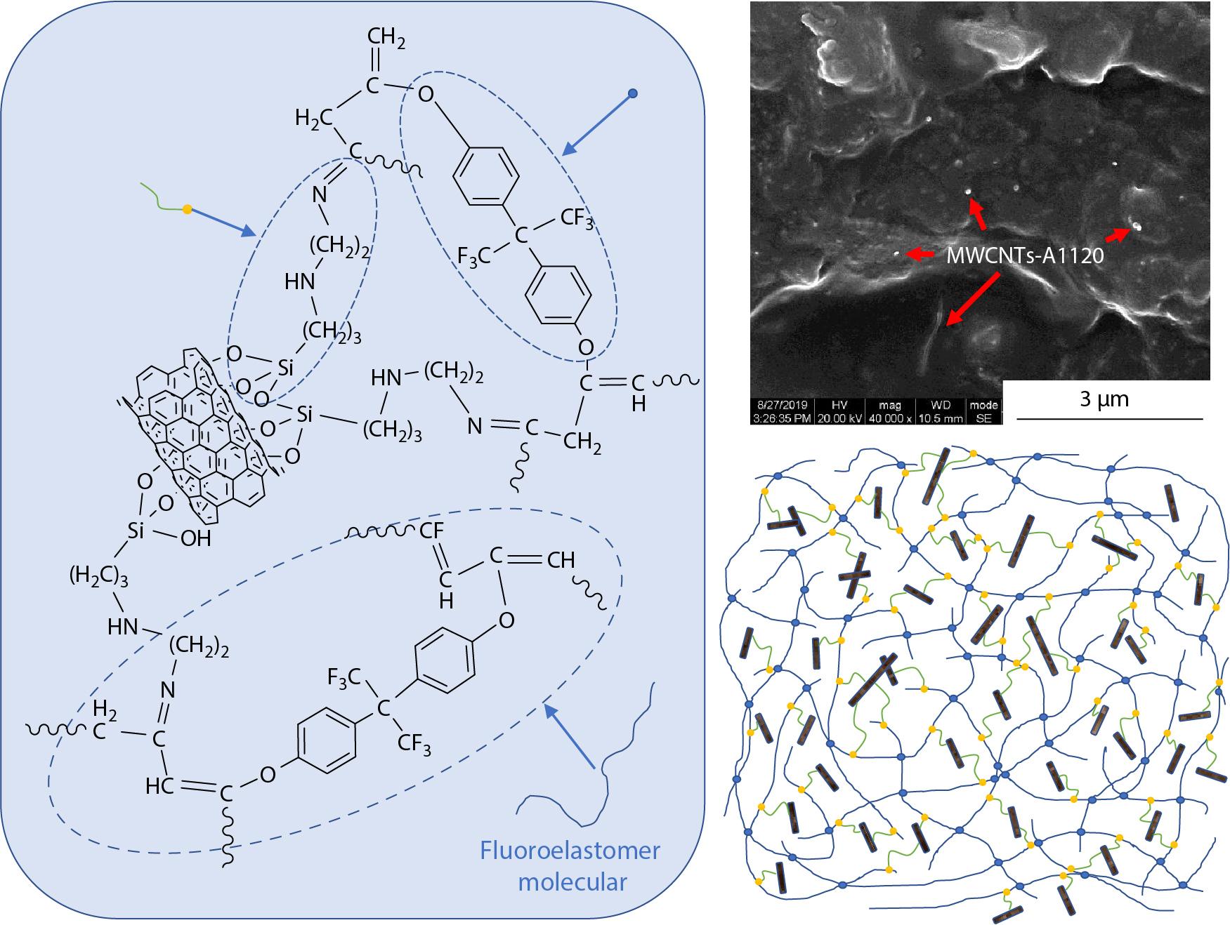 Design and Properties of Fluoroelastomer Composites <italic style="font-style: italic">via</italic> Incorporation of MWCNTs with Varied Modification