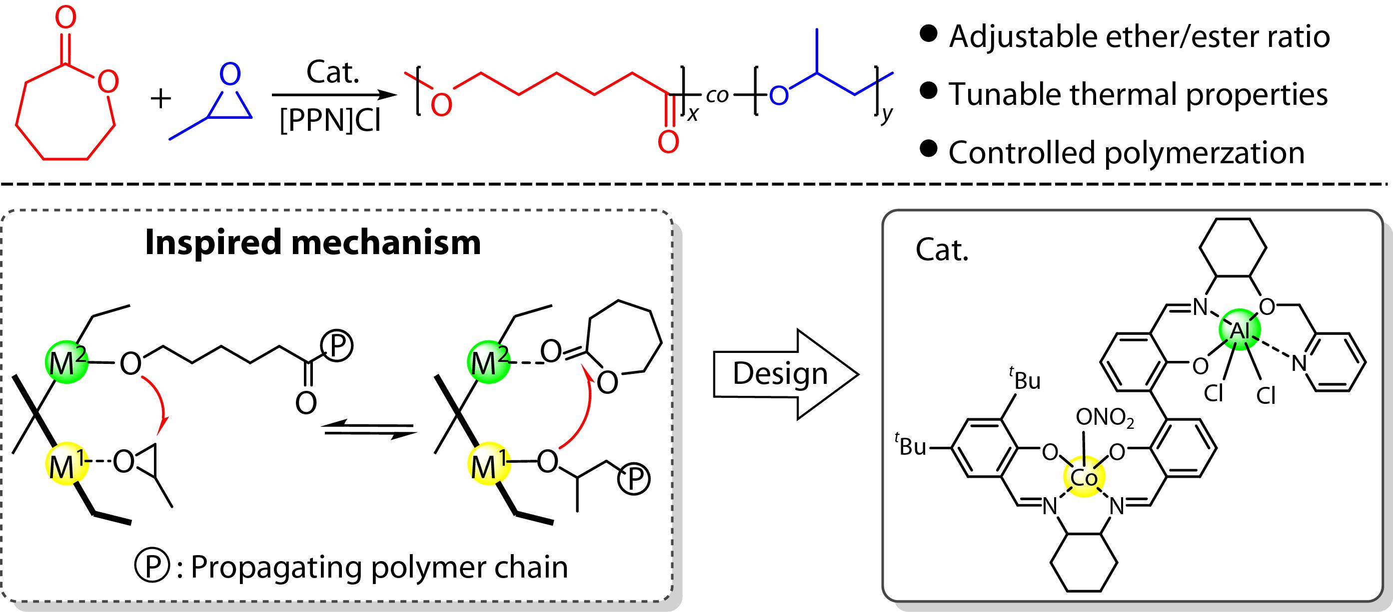 Mechanism-inspired Design of Heterodinuclear Catalysts for Copolymerization of Epoxide and Lactone