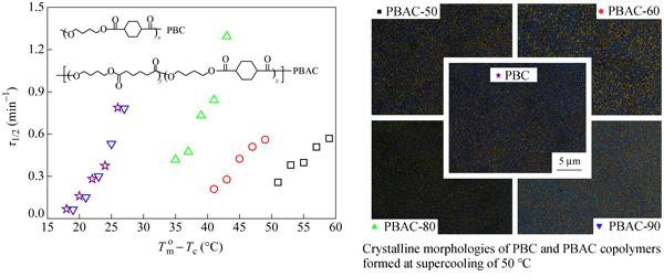 Isothermal Crystallization Kinetics and Crystalline Morphologies of Poly(butylene adipate-<italic style="font-style: italic">co</italic>-butylene 1, 4-cyclohexanedicarboxylate) Copolymers