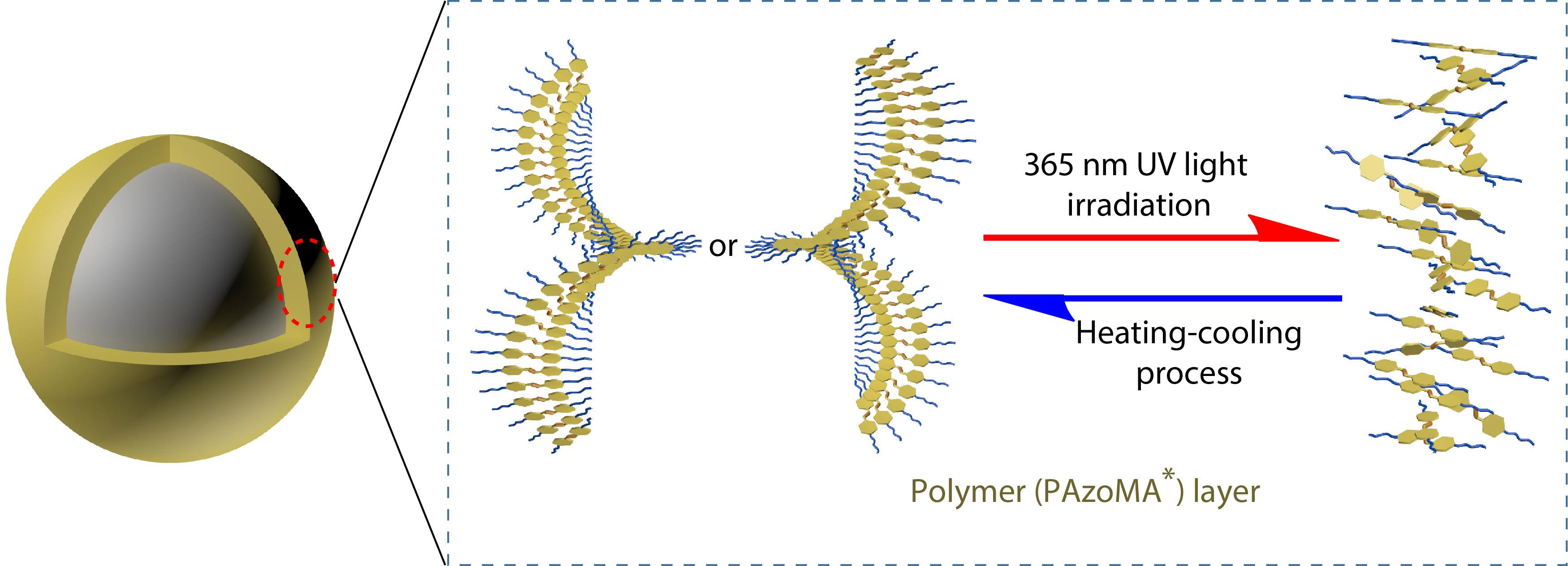 Construction of Chiroptical Switch on Silica Nanoparticle Surface <italic style="font-style: italic">via</italic> Chiral Self-assembly of Side-chain Azobenzene-containing Polymer