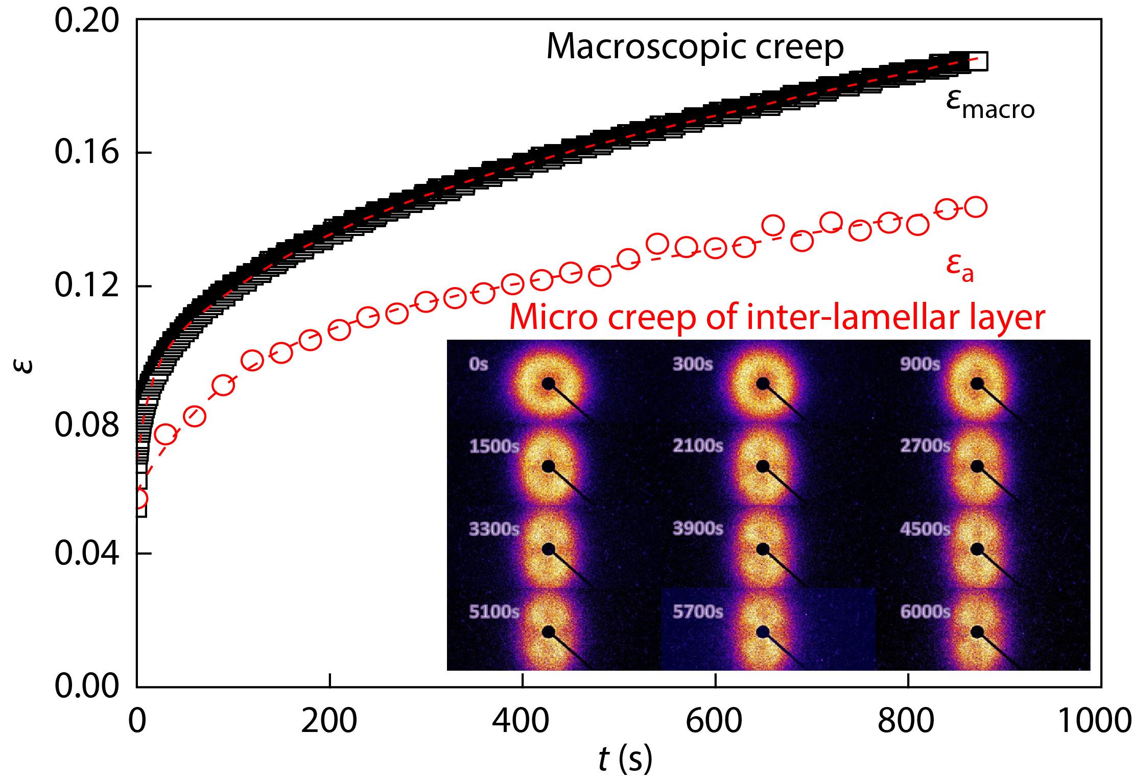 Micro-Macro Scale Relationship in Creep Deformation of Ultra High Molecular Weight Polyethylene