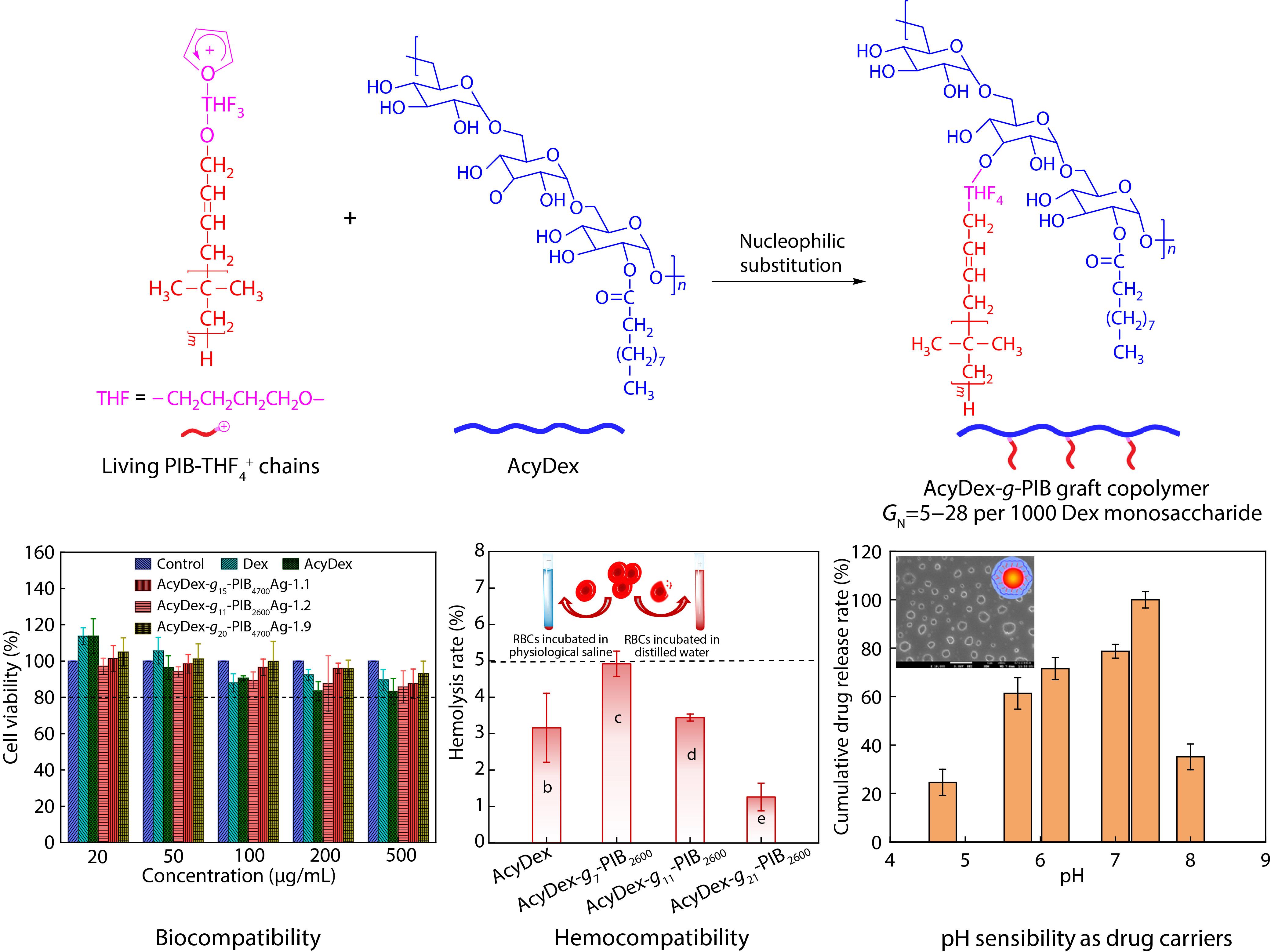Biocompatible, Hemocompatible and Antibacterial Acylated Dextran-<italic style="font-style: italic">g</italic>-polyisobutylene Graft Copolymers with Silver Nanoparticles