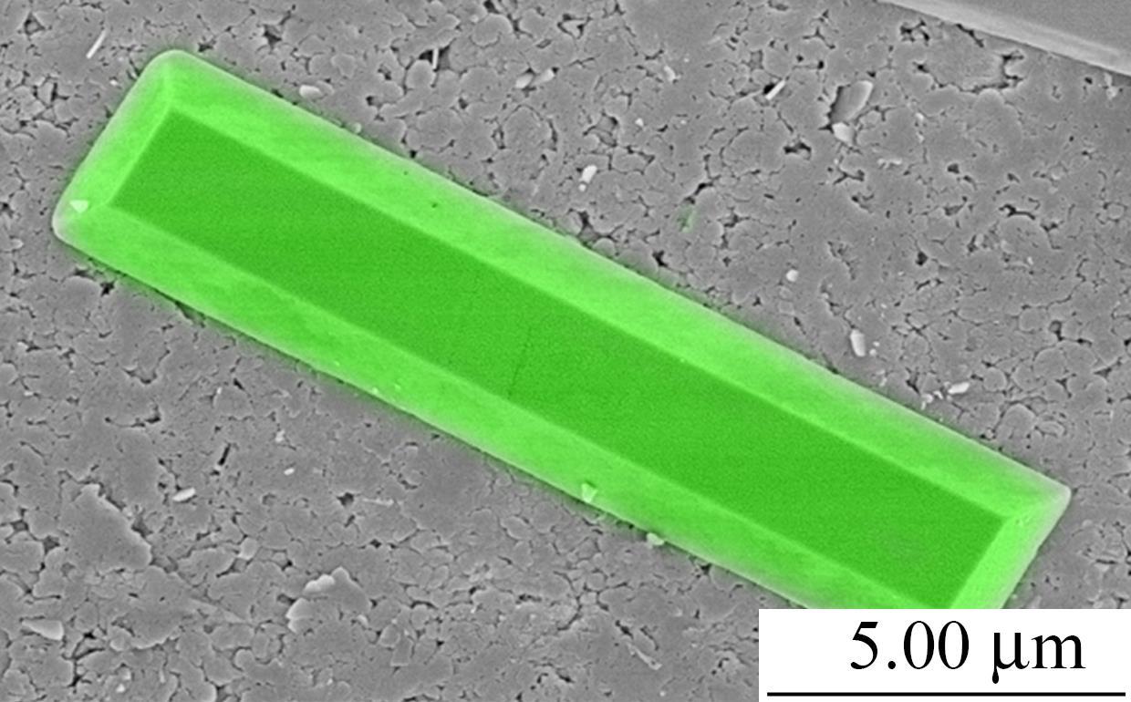 Morphological and Dimensional Control via Assembly of Polyaniline Crystals