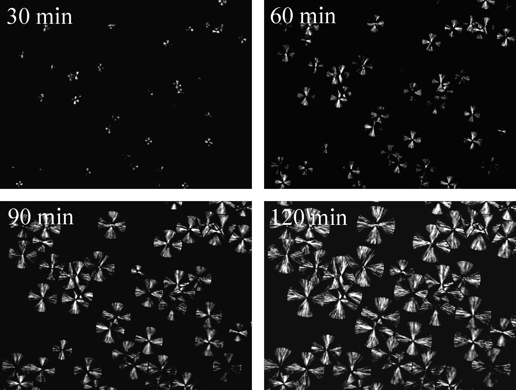 Miscibility and Isothermal Crystallization of Poly(L-lactide) and Poly(trimethylene carbonate) Blends
