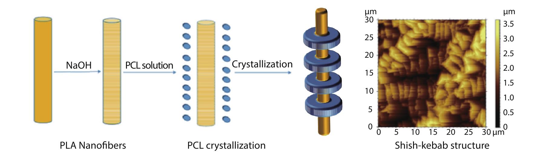 Structure and Morphology of Poly(<italic style="font-style: italic">ε</italic>-caprolactone) Heterogeneous Shish-Kebab Structure Induced by Poly(lactic acid) Nanofibers
