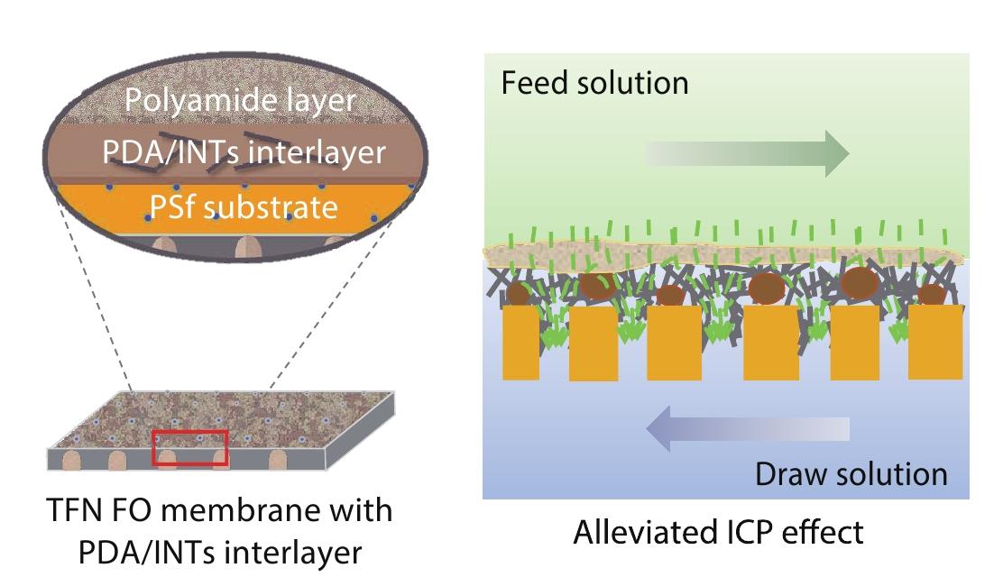 Polydopamine/Imogolite Nanotubes (PDA/INTs) Interlayer Modulated Thin Film Composite Forward Osmosis Membrane for Minimizing Internal Concentration Polarization