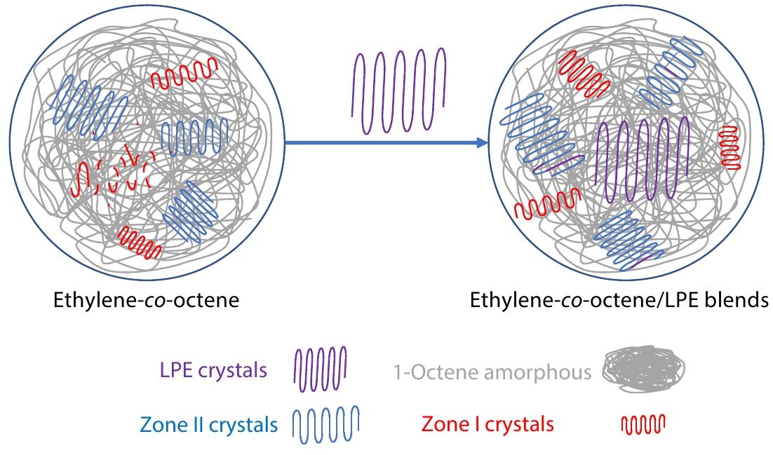 Fractionation of Polyolefin Elastomer by a Modified SSA Technique