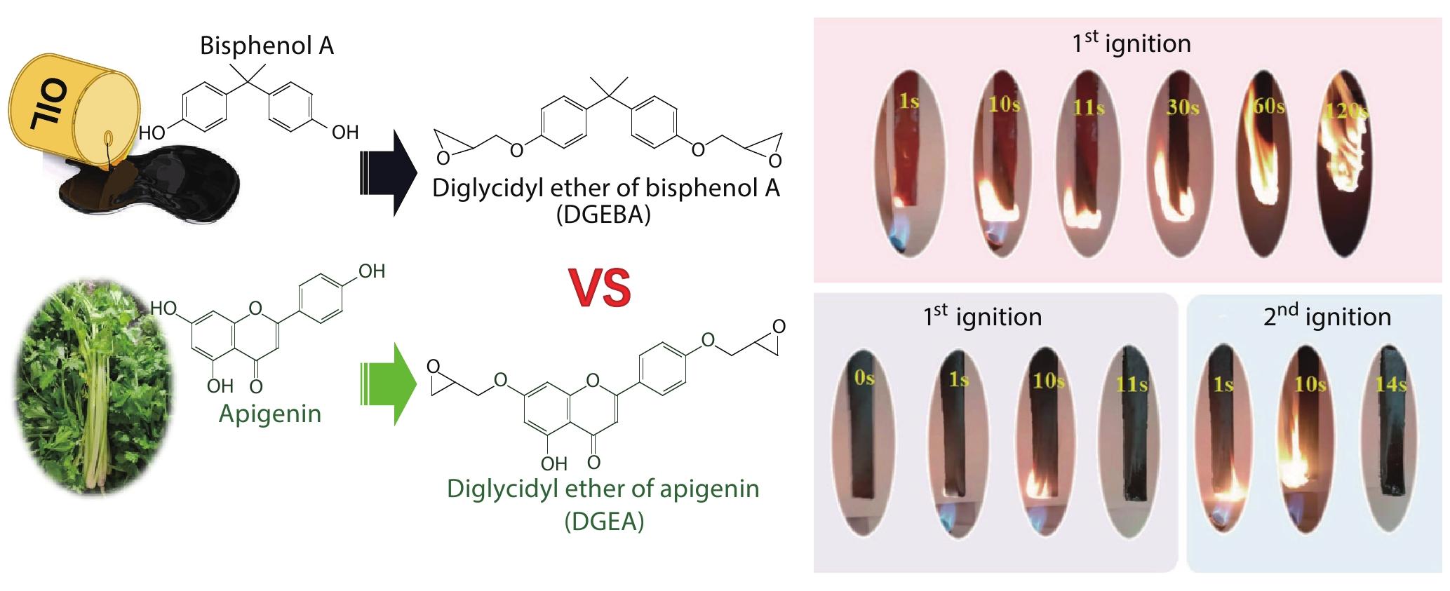 Intrinsically Anti-Flammable Apigenin-derived Epoxy Thermosets with High Glass Transition Temperature and Mechanical Strength