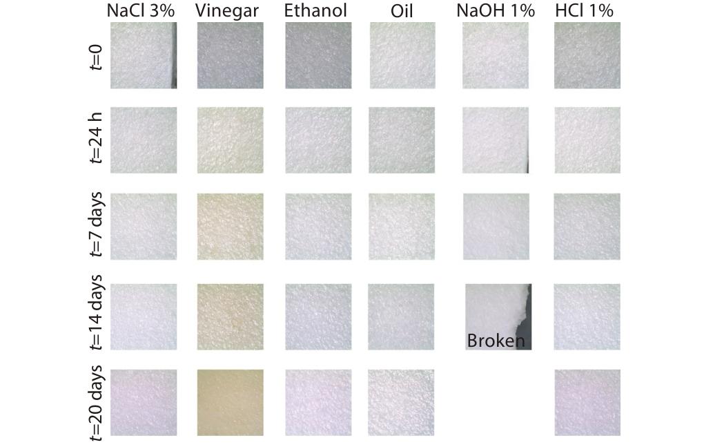 Addition of Thermoplastic Starch (TPS) to Binary Blends of Poly(lactic acid) (PLA) with Poly(butylene adipate-<italic style="font-style: italic">co</italic>-terephthalate) (PBAT): Extrusion Compounding, Cast Extrusion and Thermoforming of Home Compostable Materials