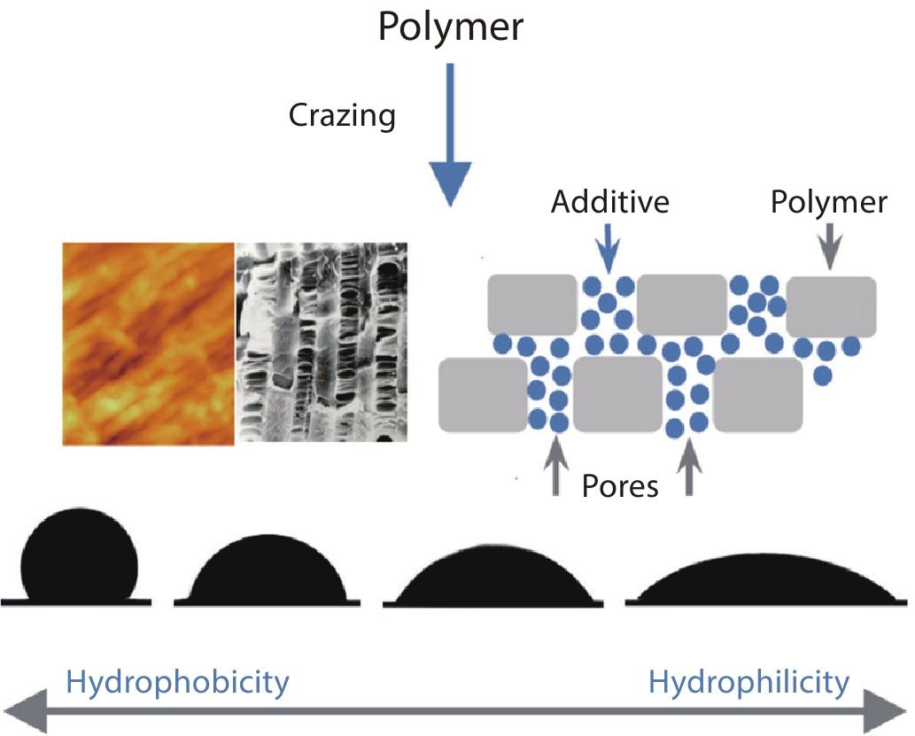 Controlled Wettability of Polymers <italic style="font-style: italic">via</italic> Environmental Crazing