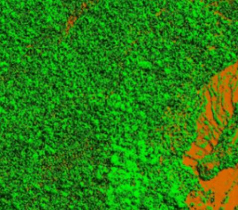 The status and prospects of remote sensing applications in precision silviculture