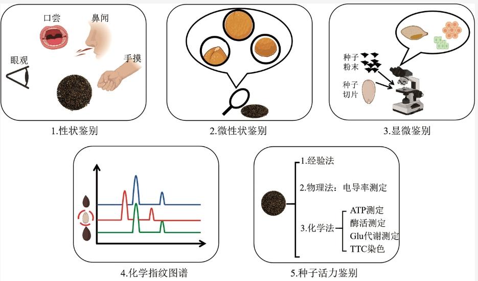 Special topic on application of nucleic acid detection technology system of traditional Chinese medicine