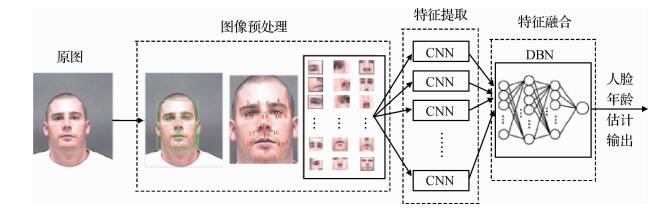 面向人脸年龄估计的深度融合神经网络