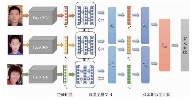 结合深度度量学习的血缘关系识别