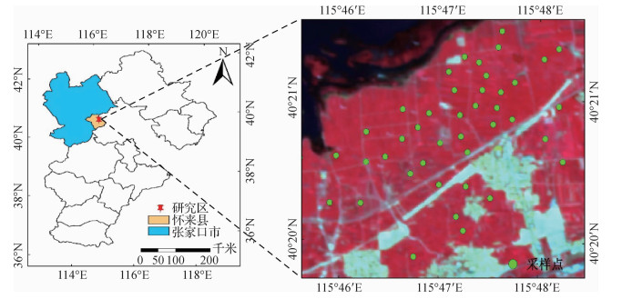 基于GF-1 WFV影像和机器学习算法的玉米叶面积指数估算