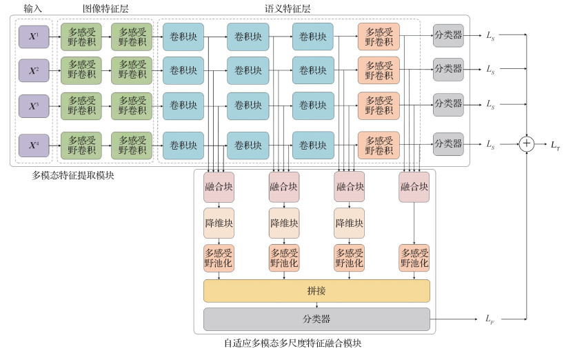 自适应多模态特征融合胶质瘤分级网络