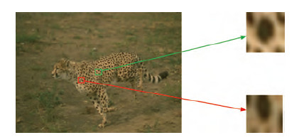 基于局部连接度和差异度算子的水平集纹理图像分割