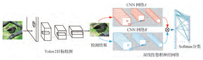 聚焦—识别网络架构的细粒度图像分类