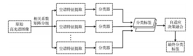 高光谱图像分类的自适应决策融合方法
