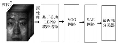 联合分块谱带优选和深度特征的高光谱人脸识别
