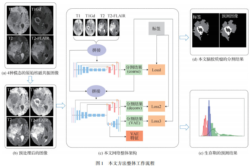 面向多模态MRI脑胶质瘤区域三维分割与生存期预测的级联U-Net网络