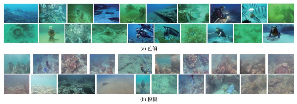 面向真实水下图像增强的质量评价数据集