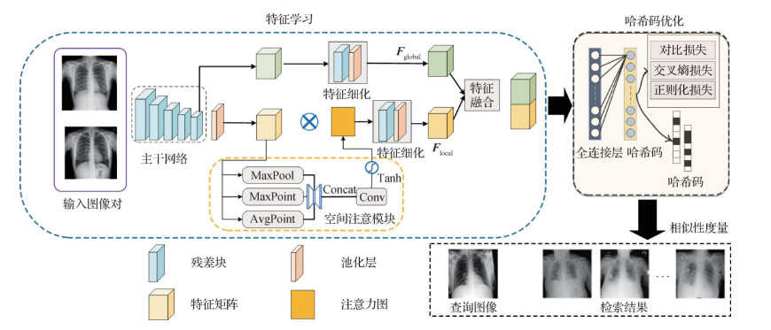 面向大规模胸片图像的深度哈希检索
