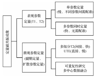 大脑多模态成像技术定量研究进展