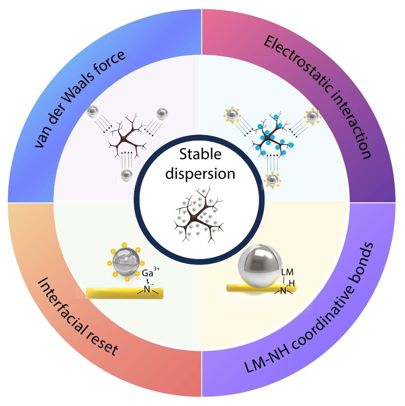 An Effective Approach for the Preparation of High Performance Thermal Conductive Polymer Composites Containing Liquid Metal