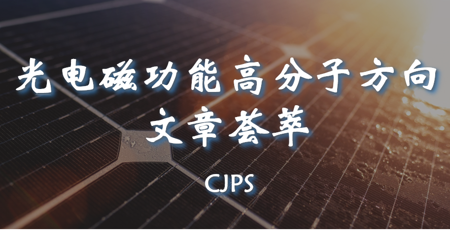 Photoelectric, Electrochromic & Electromagnetic Polymers-2024