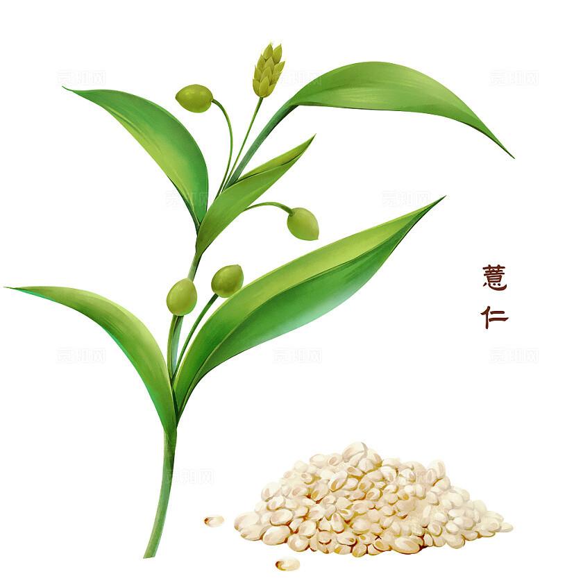 消化系统疾病炎-癌转化的基础与临床研究
