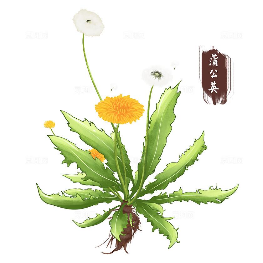 中医外治法治疗疼痛
