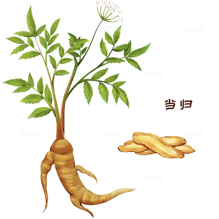 中医药治疗自身免疫性肝病
