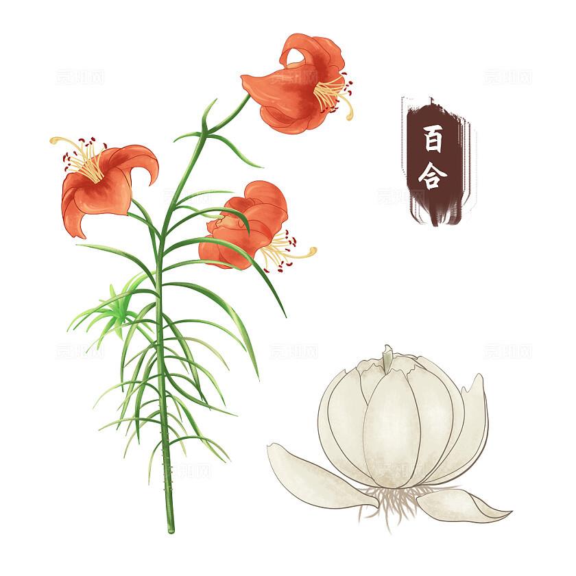 中医药治疗慢性阻塞性肺疾病的临床与基础研究